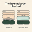 fascial