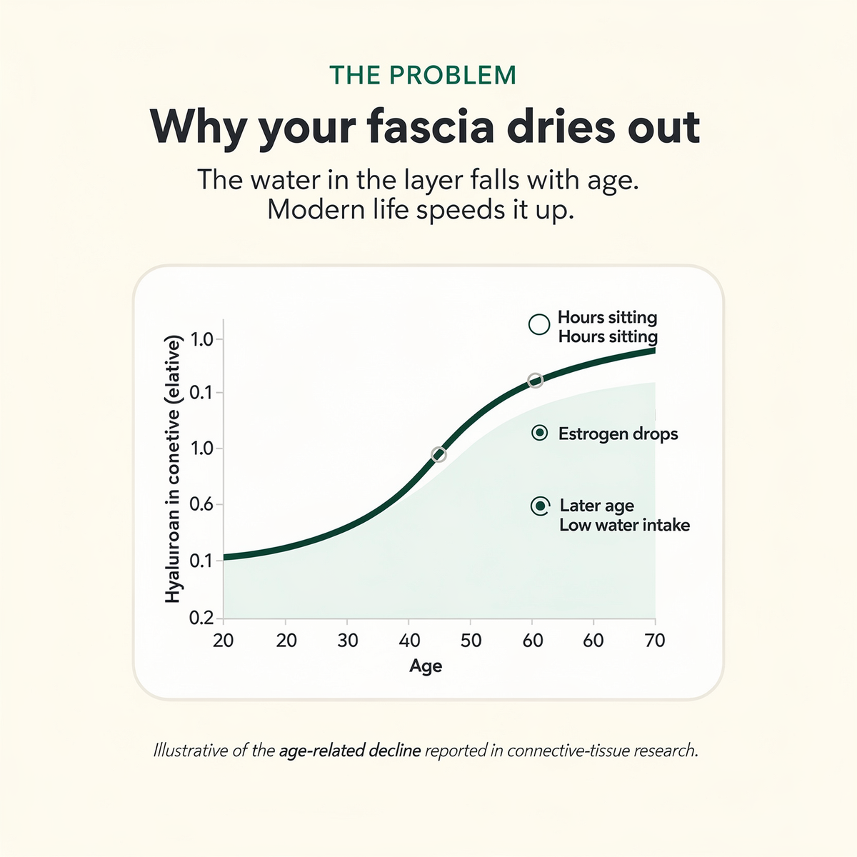 fascial
